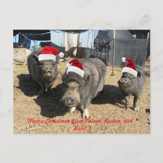 Silverbells Kerst Kaart! Feestdagenkaart (Voorkant)