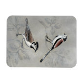 Silvered Aviary | A Paar Magneet (Horizontaal)