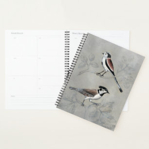 Silvered Aviary   A Paar Planner