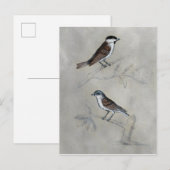 Silvered Aviary | Een paar vogels Briefkaart (Voorkant / Achterkant)