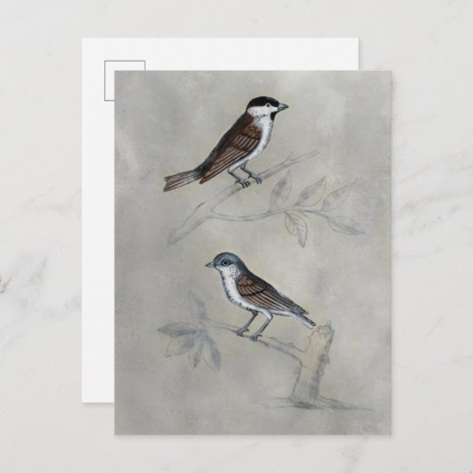 Silvered Aviary | Een paar vogels Briefkaart (Voorkant / Achterkant)