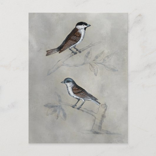 Silvered Aviary | Een paar vogels Briefkaart (Voorkant)