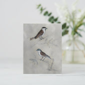 Silvered Aviary | Een paar vogels Briefkaart (Staand voorkant)