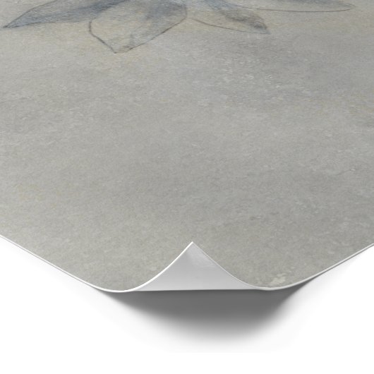 Silvered Aviary | Een paar vogels Poster (Hoek)