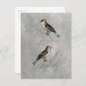 Silvered Aviary | Twee vogels Briefkaart (Voorkant / Achterkant)