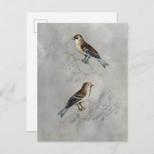 Silvered Aviary | Twee vogels Briefkaart (Voorkant / Achterkant)