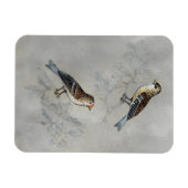 Silvered Aviary | Twee vogels Magneet (Horizontaal)