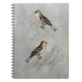 Silvered Aviary | Twee vogels Notitieboek (Voorkant)