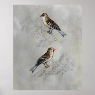 Silvered Aviary   Twee vogels Poster