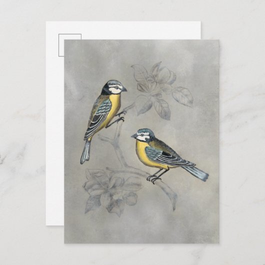 Silvered Aviary | Vogelpaar Briefkaart (Voorkant / Achterkant)