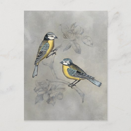 Silvered Aviary | Vogelpaar Briefkaart (Voorkant)