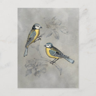 Silvered Aviary   Vogelpaar Briefkaart