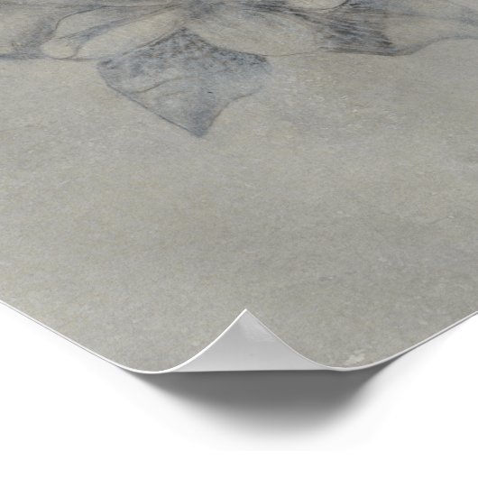 Silvered Aviary | Vogelpaar Poster (Hoek)