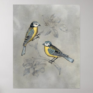 Silvered Aviary   Vogelpaar Poster