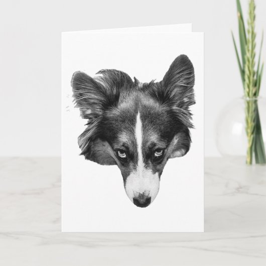 Silverlight-metgezel Kaart (Voorkant)