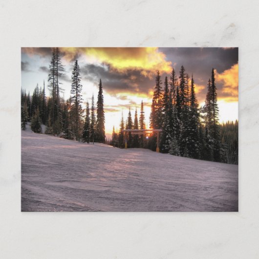 Silverstar Sunset Briefkaart (Voorkant)