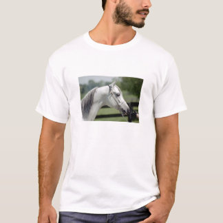 Silverstone Shamal T-shirt