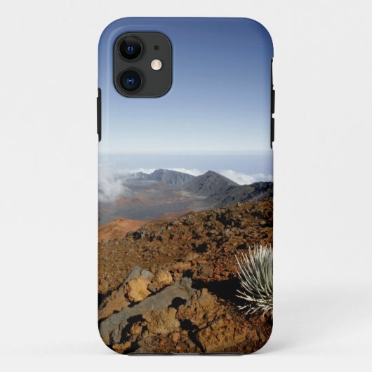 Silversword op de rand van de Haleakala-krater van Case-Mate iPhone Case (Achterkant)