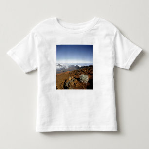 Silversword op de rand van de Haleakala-krater van Kinder Shirts