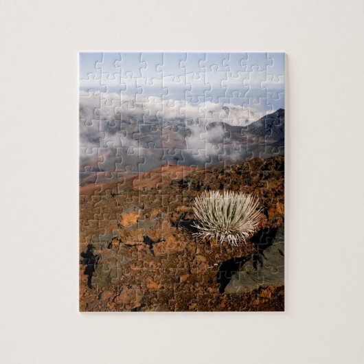 Silversword op de rand van de Haleakala-krater van Legpuzzel (Verticaal)
