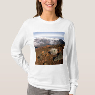 Silversword op de rand van de Haleakala-krater van T-shirt