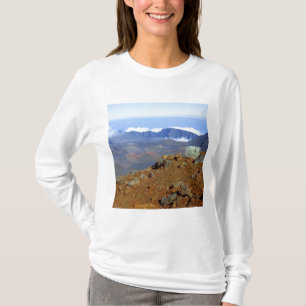 Silversword op de rand van de Haleakala-krater van T-shirt