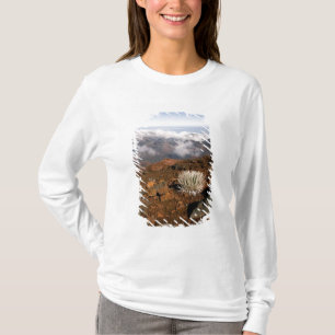 Silversword op de rand van de Haleakala-krater van T-shirt