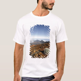 Silversword op de rand van de Haleakala-krater van T-shirt