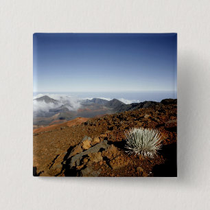 Silversword op de rand van de Haleakala-krater van Vierkante Button 5,1 Cm