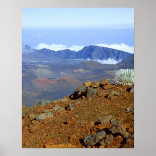 Silversword op Haleakala Crater Rim van bijna 2 Poster