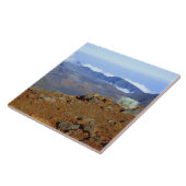 Silversword op Haleakala Crater Rim van bijna 2 Tegeltje (Zijkant)