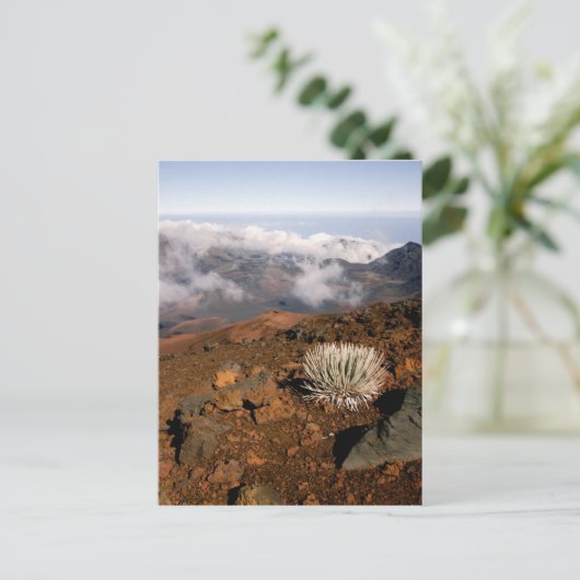 Silversword op Haleakala Crater Rim van bijna 3 Briefkaart (Staand voorkant)