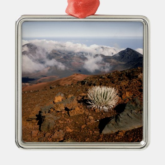Silversword op Haleakala Crater Rim van bijna 3 Metalen Ornament (Voorkant)