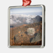 Silversword op Haleakala Crater Rim van bijna 3 Metalen Ornament (Links)