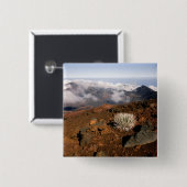Silversword op Haleakala Crater Rim van bijna 3 Vierkante Button 5,1 Cm (Voorkant /achterkant)
