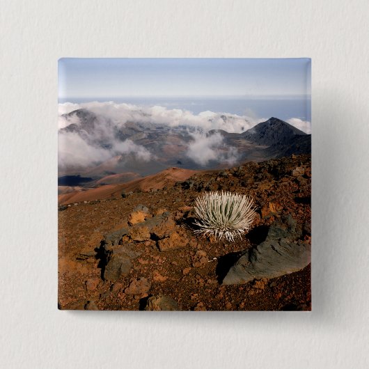 Silversword op Haleakala Crater Rim van bijna 3 Vierkante Button 5,1 Cm (Voorkant)