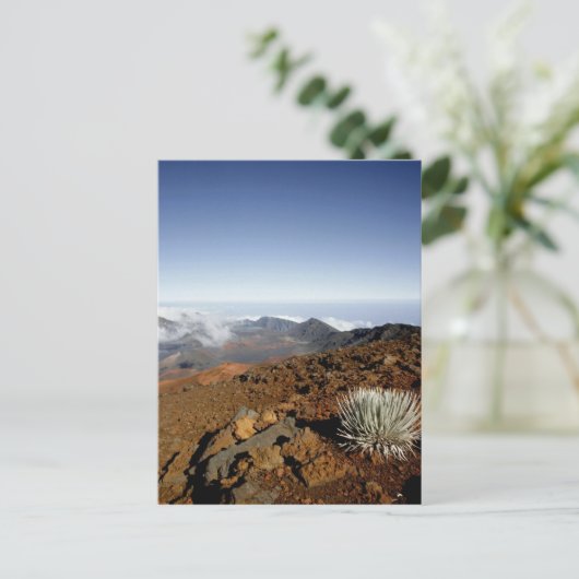Silversword op Haleakala Crater Rim van dichtbij Briefkaart (Staand voorkant)