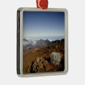 Silversword op Haleakala Crater Rim van dichtbij Metalen Ornament (Rechts)