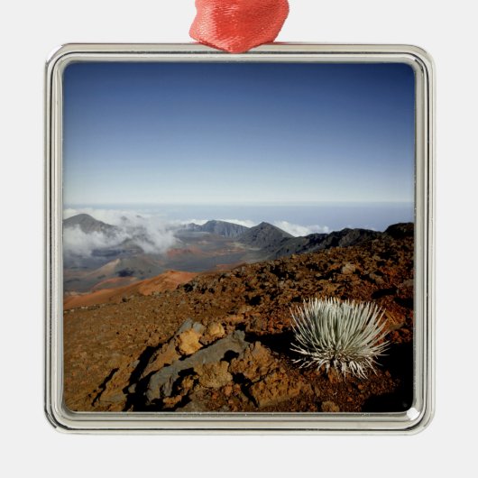 Silversword op Haleakala Crater Rim van dichtbij Metalen Ornament (Voorkant)