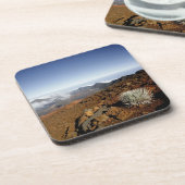 Silversword op Haleakala Crater Rim van dichtbij Onderzetter (Linkerzijde)