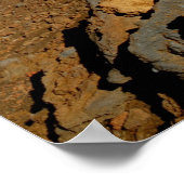 Silversword op Haleakala Crater Rim van dichtbij Poster (Hoek)