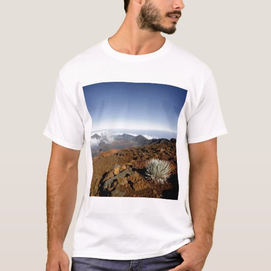 Silversword op Haleakala Crater Rim van dichtbij T-shirt (Voorkant)