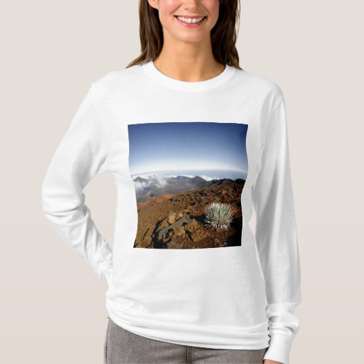 Silversword op Haleakala Crater Rim van dichtbij T-shirt (Voorkant)