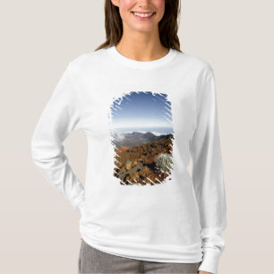 Silversword op Haleakala Crater Rim van dichtbij T-shirt