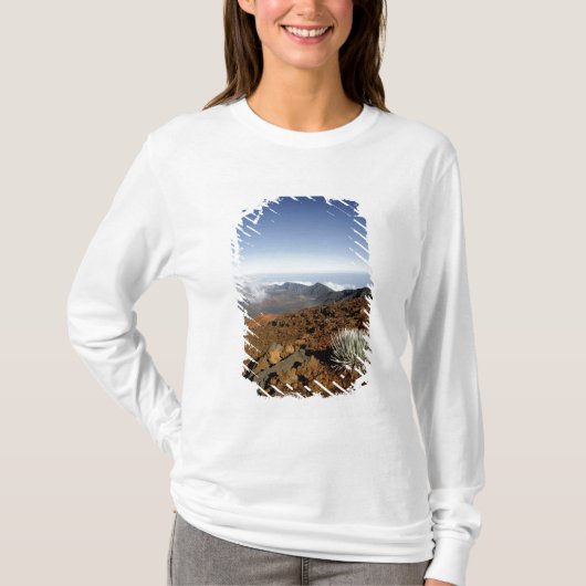 Silversword op Haleakala Crater Rim van dichtbij T-shirt (Voorkant)