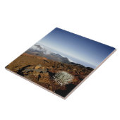 Silversword op Haleakala Crater Rim van dichtbij Tegeltje (Zijkant)