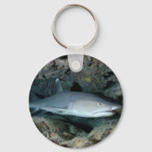 Silvertip Shark Sleutelhanger (Voorkant)