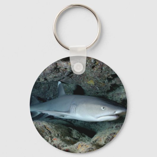 Silvertip Shark Sleutelhanger (Voorkant)