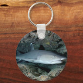 Silvertip Shark Sleutelhanger (Voorkant)