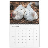 Silverudds Blue Chickens Kalender (Mar 2027)